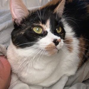 Meet your Posher, Trina